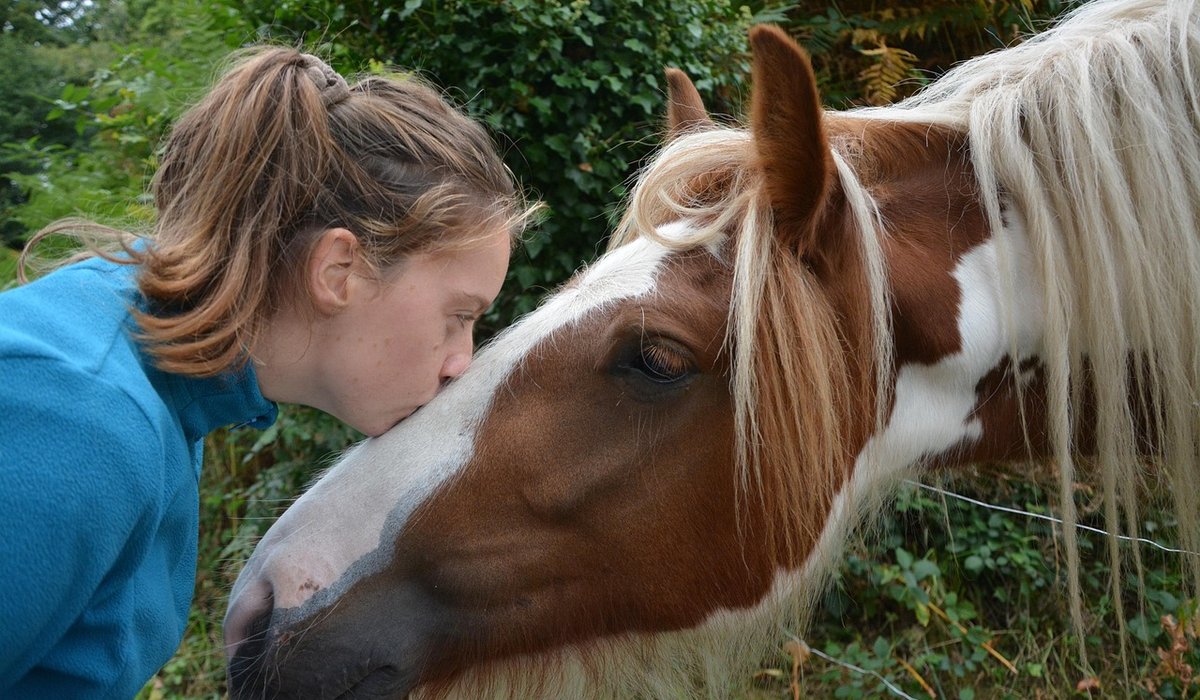 Maintaining Hedgerows on a Rural Smallholding
