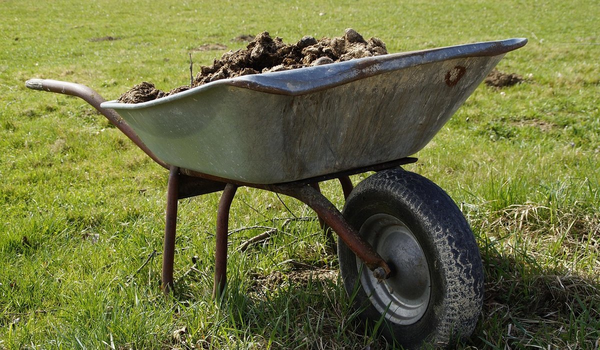 Recognising the Common Signs of Equine Lameness